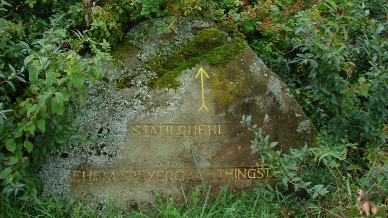 Ritterstein Nr. 229-2 Stahlbuehl - Ehem. Speyergau-Thingstätt.JPG - Ritterstein Nr.229 Stahlbuehl - Ehem. Speyergau-Thingstaette